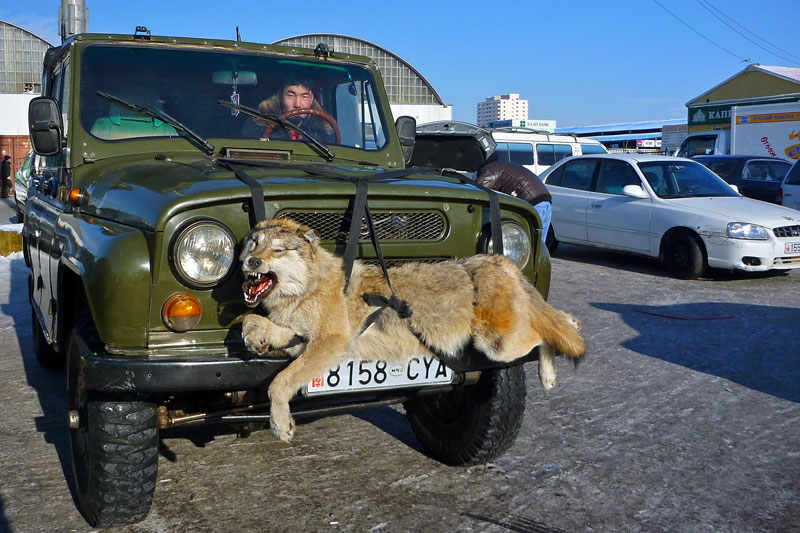Mongolie